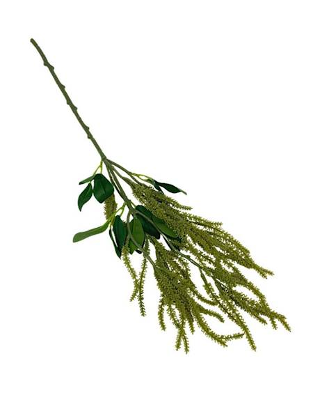 Amarantus gałązka 60 cm zielony