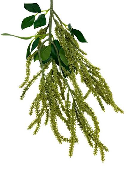 Amarantus gałązka 60 cm zielony