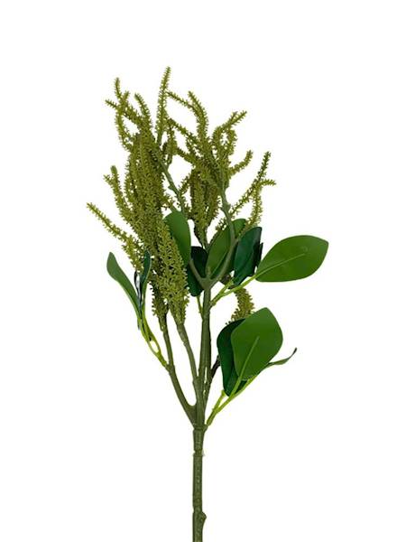 Amarantus gałązka 60 cm zielony