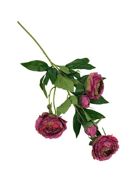 Piwonia gałązka 67 cm fiolet róż