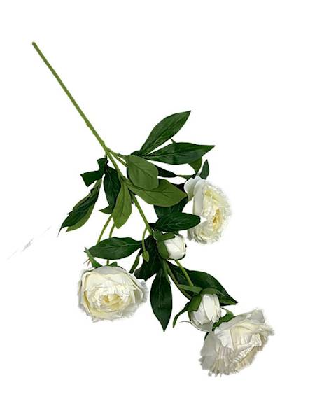 Piwonia gałązka 67 cm biała