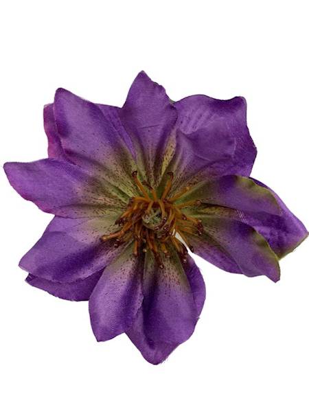 Ciemiernik gałązka 70 cm fioletowy