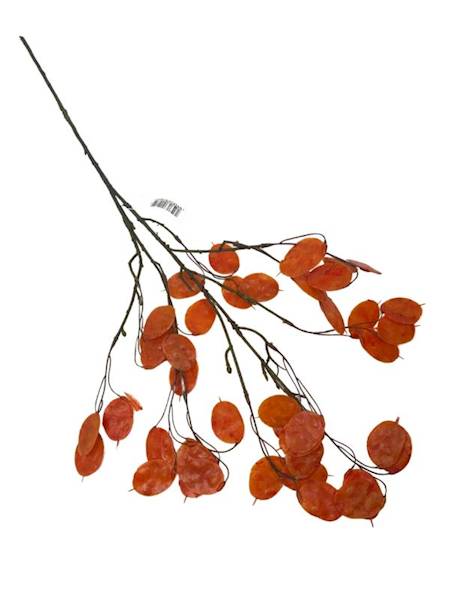 Dolarowiec gałązka 80 cm pomarańczowy