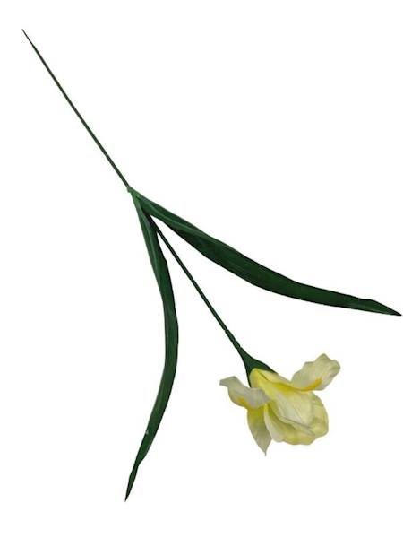 Irys gałązka 65 cm kremowy