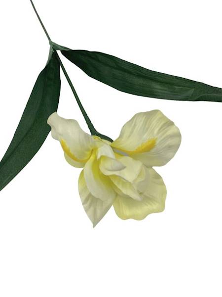 Irys gałązka 65 cm kremowy