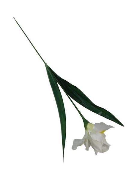 Irys gałązka 65 cm biały