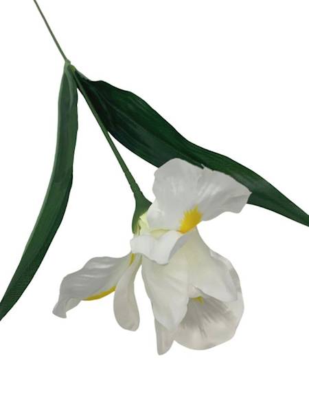 Irys gałązka 65 cm biały