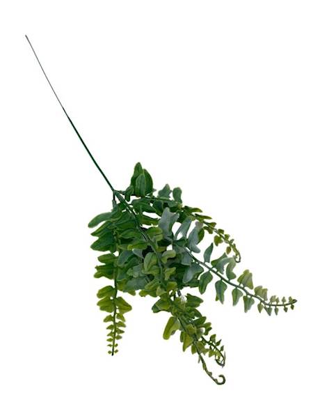 Paproć gałazka 50 cm zielona bielona