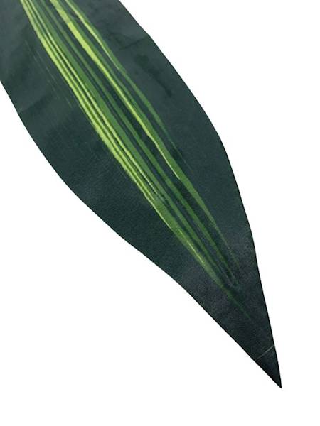 Liść draceny 60 cm zielony