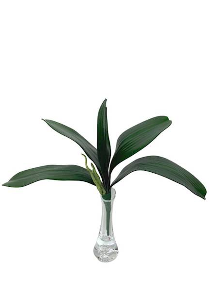 Liść do storczyka 33 cm 