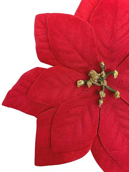 Gwiazda betlejemska główka 16 cm czerwona