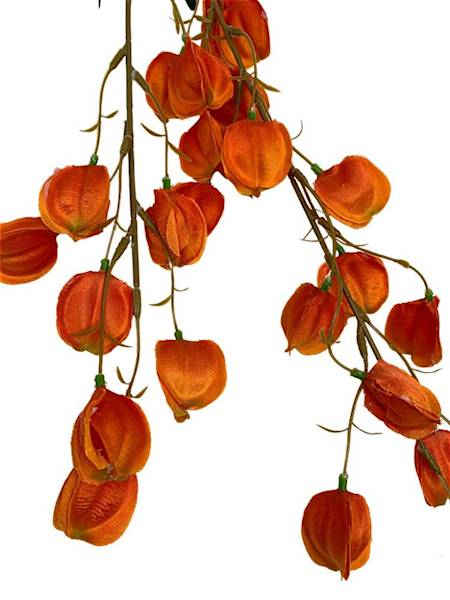 Miechunka gałązka 97 cm pomarańczowa