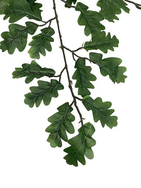 Liść dębu 55 cm zielony