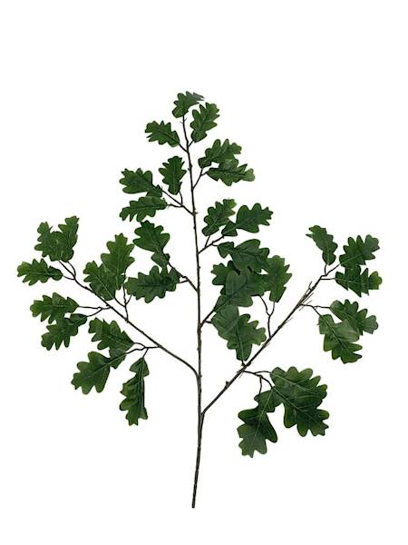 Liść dębu 55 cm zielony