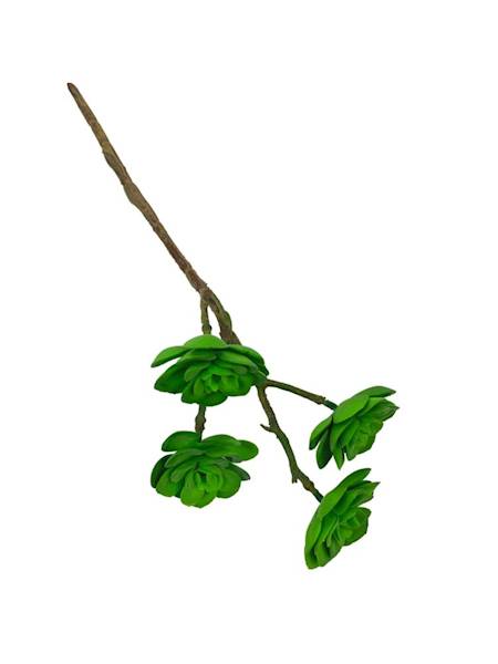 Sukulent 33 cm zielony