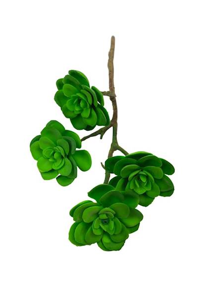 Sukulent 33 cm zielony