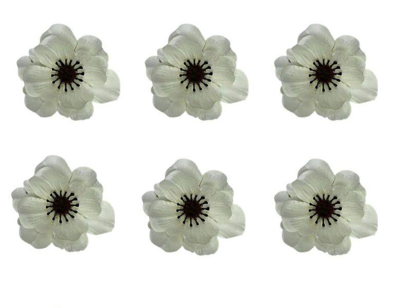 Anemon główka 6 cm biały 6 sztuk