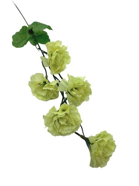 Goździk gałązka 40 cm zielony