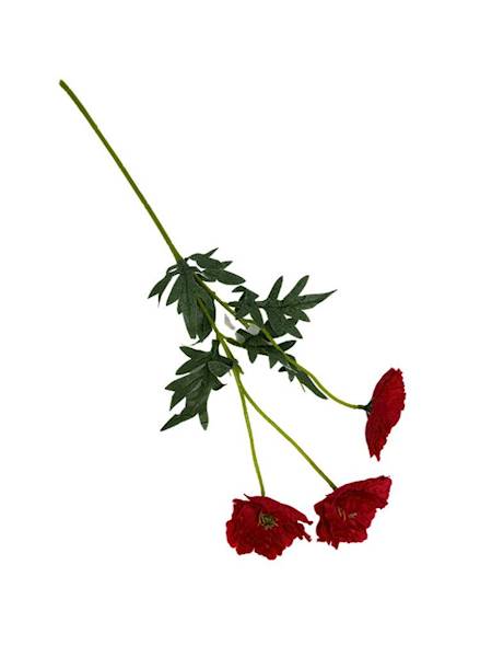 Mak gałązka 48 cm czerwony