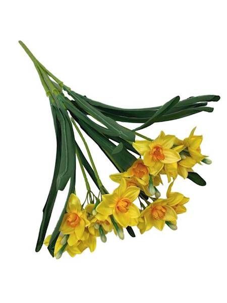 Żonkil bukiet 60 cm żółte
