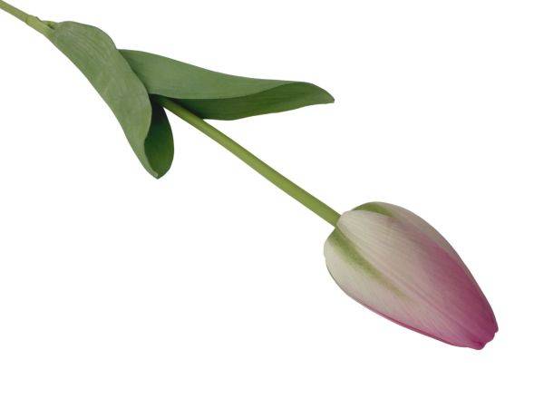Tulipan gałązka 67 cm różowy