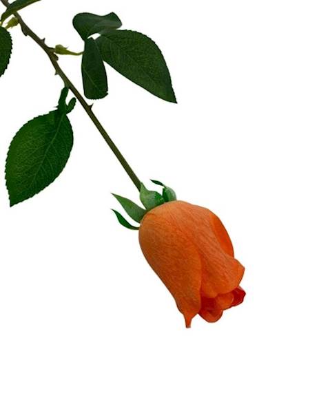 Róża gałązka 67 cm pomarańczowa