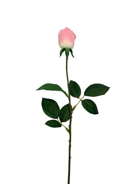 Róża gałązka 67 cm jasny róż