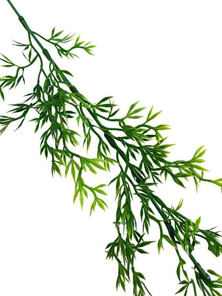 Asparagus gałązka 60 cm zielony