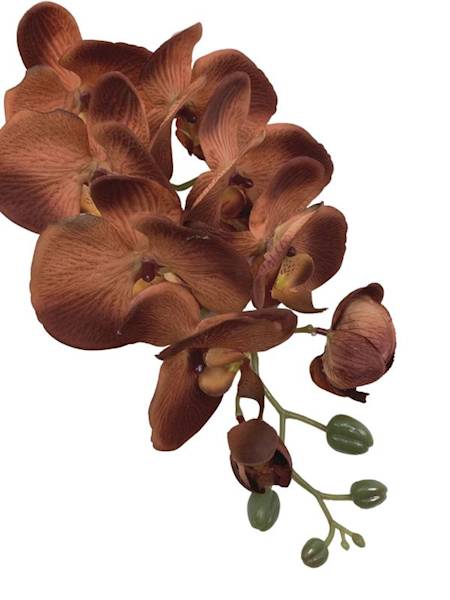 Storczyk gałązka 100 cm brązowy