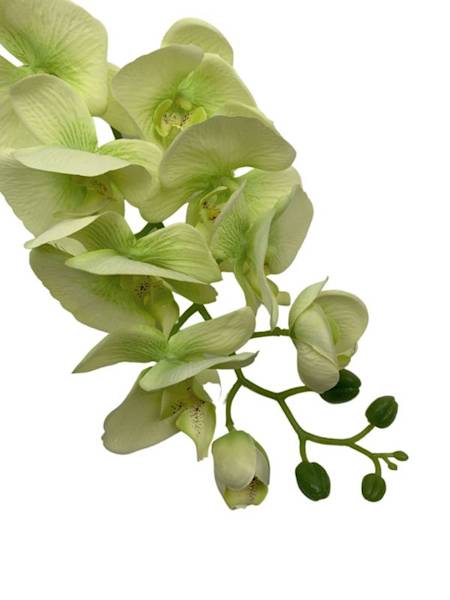 Storczyk gałązka 100 cm zielony