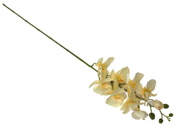 Storczyk gałązka 100 cm żółty