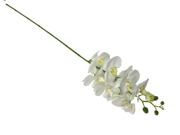 Storczyk gałązka 100 cm biały z zielonym