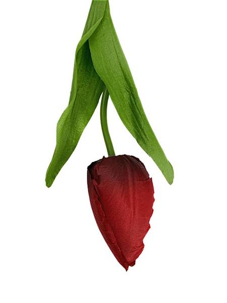 Tulipan 50 cm czerwony