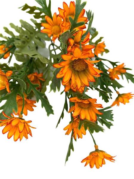 Bukiet rumianki 37 cm pomarańczowy