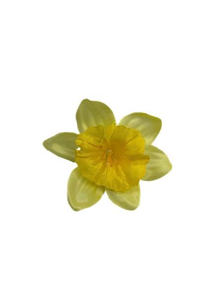 Żonkil mini główka 6 cm jasny żółty