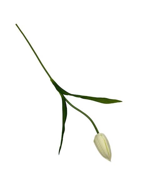 Tulipan gałązka 55 cm kremowy