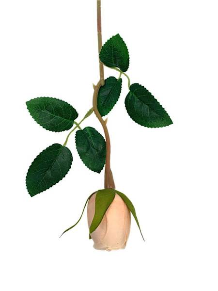 Róża gałązka 37 cm brzoskwiniowa