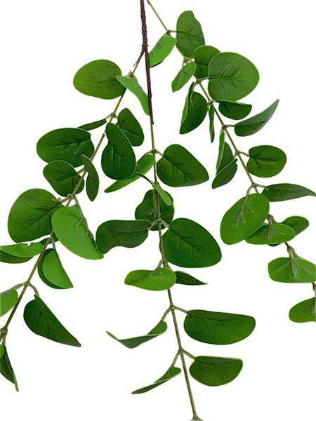  Eukaliptus gałązka 84 cm zielony