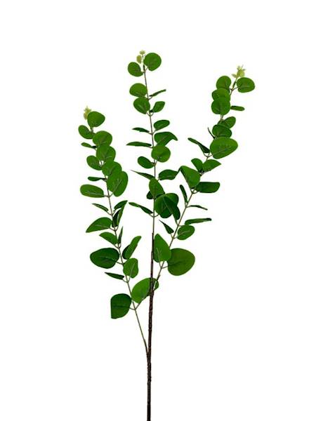  Eukaliptus gałązka 84 cm zielony
