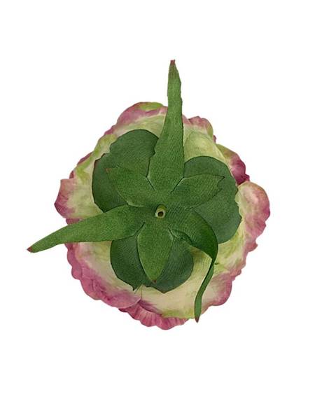 Piwonia główka 9 cm brudny fiolet