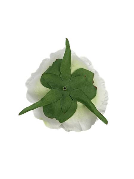 Piwonia główka 9 cm biała