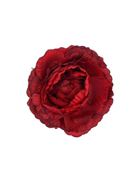 Piwonia główka 9 cm czerwona