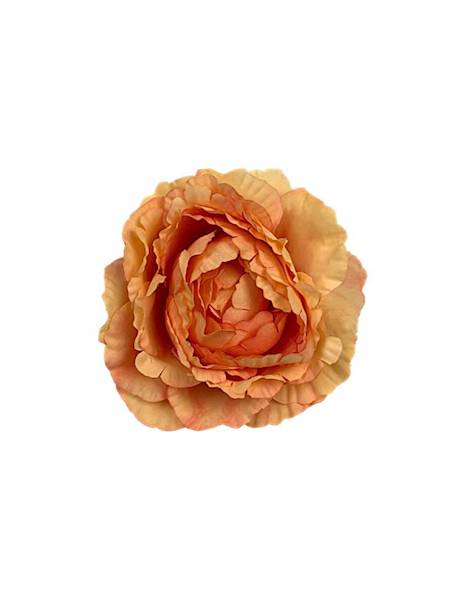 Piwonia główka 9 cm brzoskwiniowa