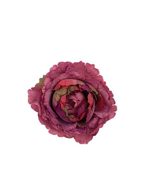 Piwonia główka 9 cm róż fiolet