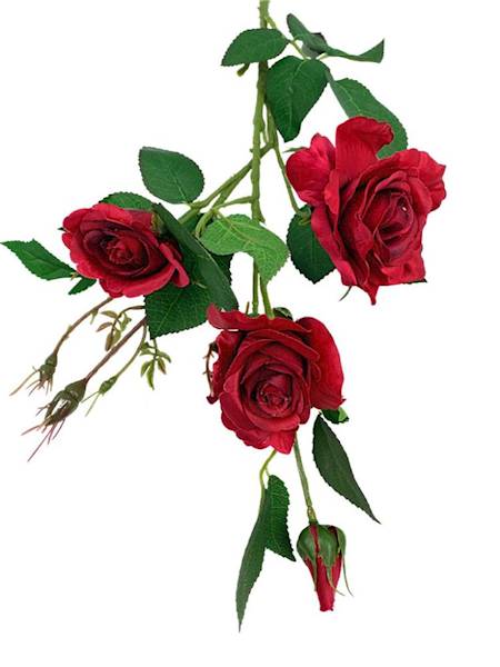 Róża gałązka 77 cm czerwona malinowa