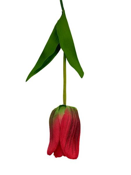 Tulipan gałązka 61 cm czerwony