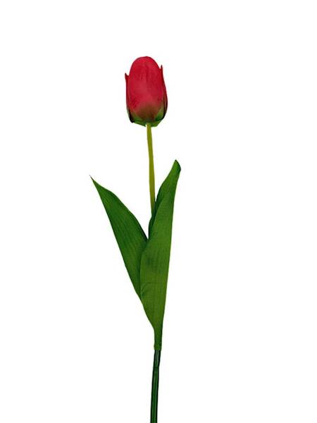 Tulipan gałązka 61 cm czerwony