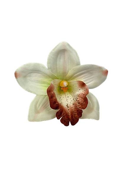 Storczyk główka 14 cm kremowy z czerwonym