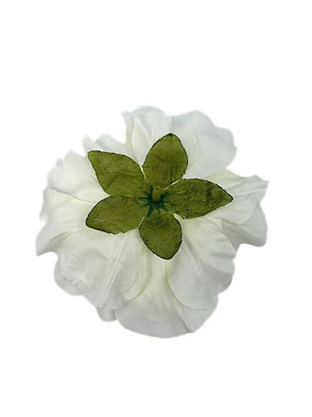 Azalia główka 12 cm jasny krem