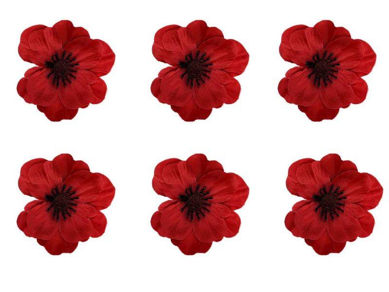 Anemon główka 6 cm czerwony 6 sztuk